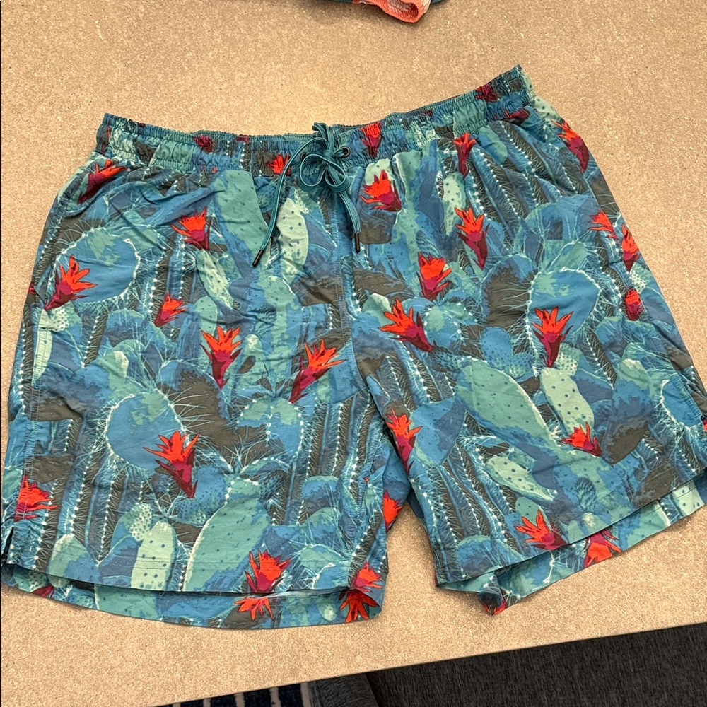 Saxx Cactus Print Swim Trunks
